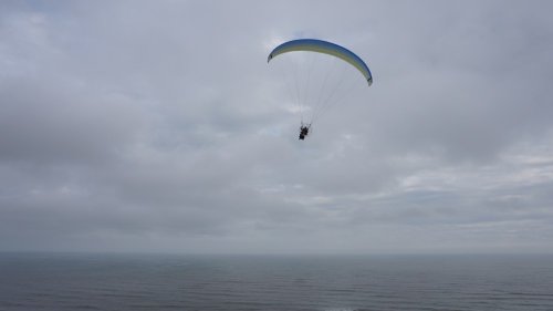 20251017201450.JPG